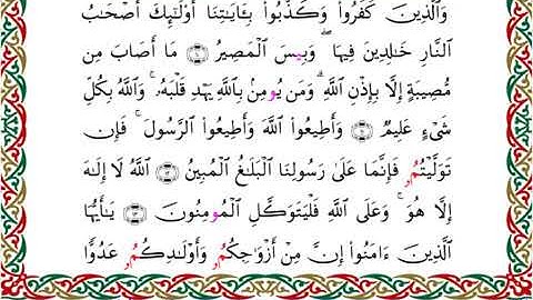 سورة التغابن برواية ابن جماز عن أبي جعفر ــ الشيخ عيسى الشاذلي