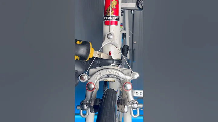 Vintage Peugeot road bike.