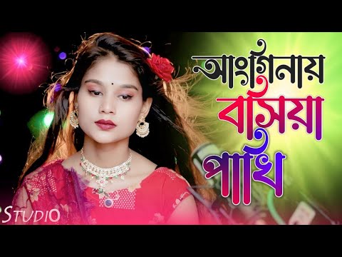 Anginay bosiya pakhi        bangladesh  bangla  parbin  jkmixstudio  jk