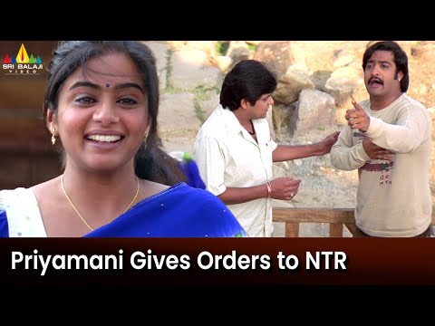 Priyamani Gives Orders to NTR | Yamadonga Telugu Movie Scenes @SriBalajiMovies - SRIBALAJIMOVIES