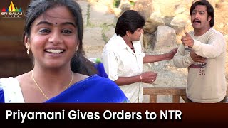 Priyamani Gives Orders to NTR | Yamadonga Telugu Movie Scenes @SriBalajiMovies