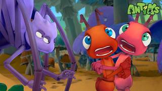 spider s party joey boo get inviter antiks wildest moments