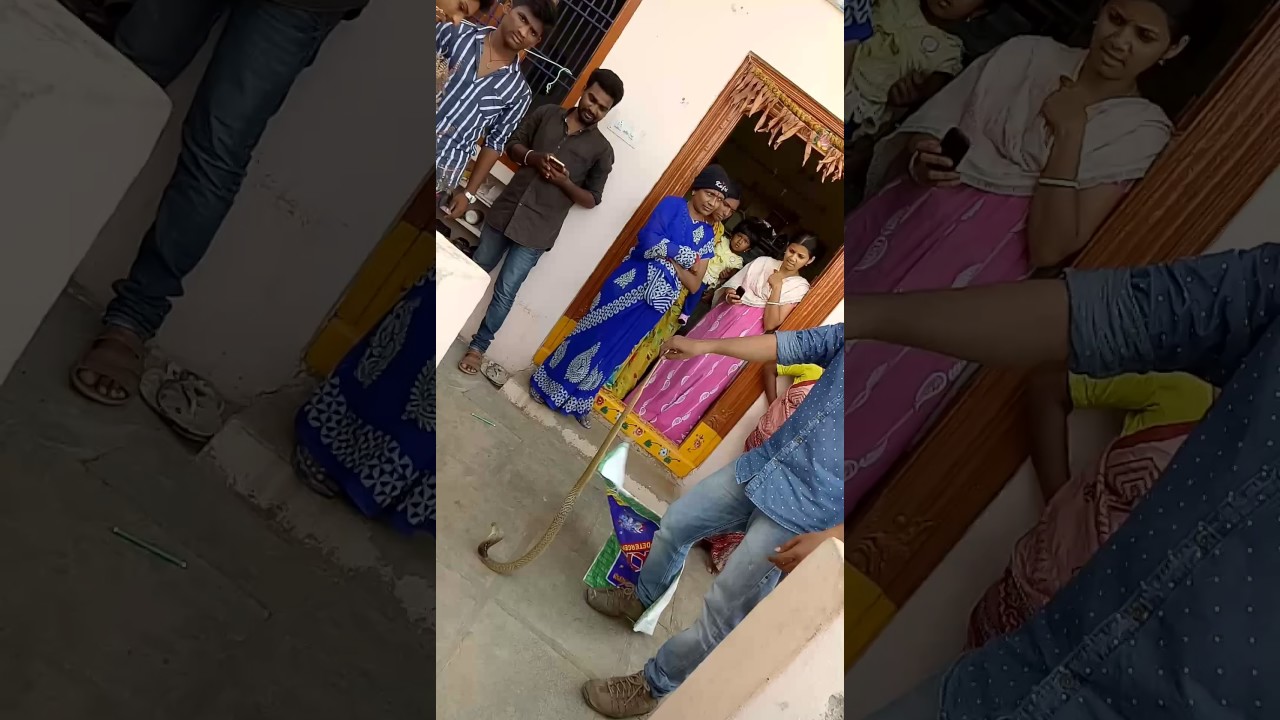 camera iphone 8 plus apk Dheeraj catching cobra