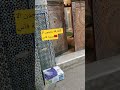 سيدي احمد تيجاني الزاوية التجانية فاس اكسبلور ليلة القدر Chorts ترند تيك توك Tektok شهر رمضان 