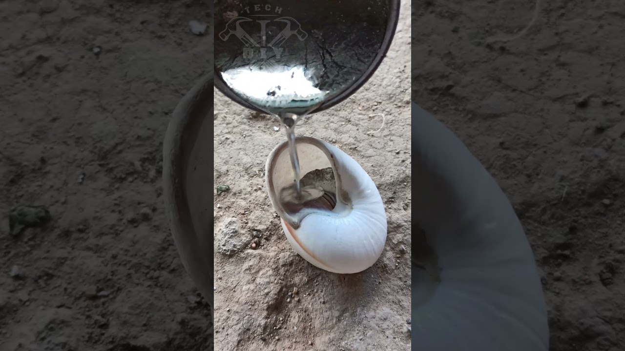 Molten Metal Poured Into A Seashell Creates Amazing Results 