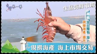 台灣第一等【獨特魚市場 攔截漁船 現撈漁獲海上交易／東港黑金 黑鮪魚拍賣達人】 _精選特輯