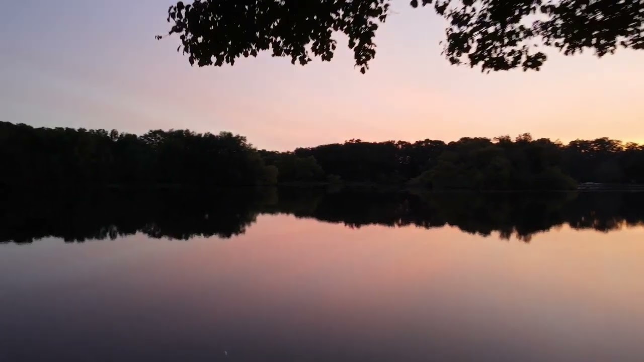 Sunset at Turkey Swamp Park - Mavic Air 2 - Drone Video
