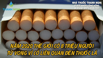 8 triệu người tử vong do thuốc lá mỗi năm từ năm 2020