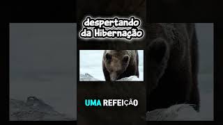 despertando da Hibernação #shorts #documentário