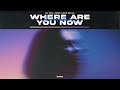 Dj Tani, Jonix, Levis Della - Where Are You Now