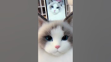 Kitten and puppy wool felt simulation customization