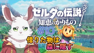 知恵より武闘派『ゼルダの伝説 知恵のかりもの』 #10
