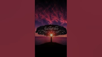 قرآن كريم بصوت خاشع للشيخ ياسر الدوسري #تلاوة_خاشعة #قرآن #ياسر_الدوسري