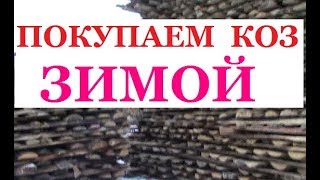 МЫ ПОПАЛИ ! НЕОЖИДАННОЕ ПОПОЛНЕНИЕ МЫ ПОПАЛИ ! НЕОЖИДАННОЕ ПОПОЛНЕНИЕ