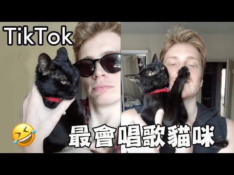 TikTok最會唱歌的貓咪！ 誰能不為這隻黑色歌姬的聲音傾倒呢😂