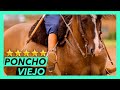 CAVALO CRIOULO & Poncho Viejo Charrua