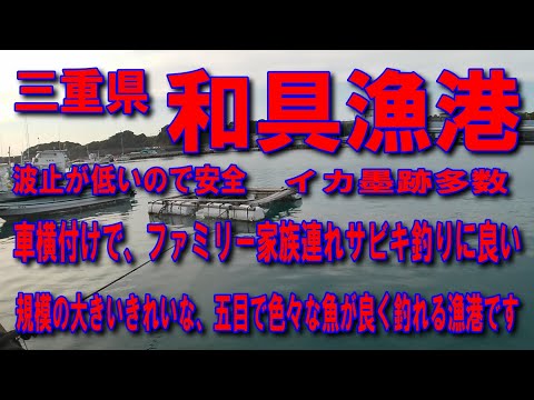 #54三重県和具漁港五目で色々な魚が良く釣れる漁港です車横付け釣り出来ますファミリー家族連れサビキ釣りに良い波止が低いので安全街灯が有るので夜釣りに良いです釣りポイントが広いので沢山の人が釣り出来ます