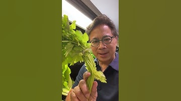 Thie Veggie Can Help Your Brain Heal After a Stroke | Dr. William Li