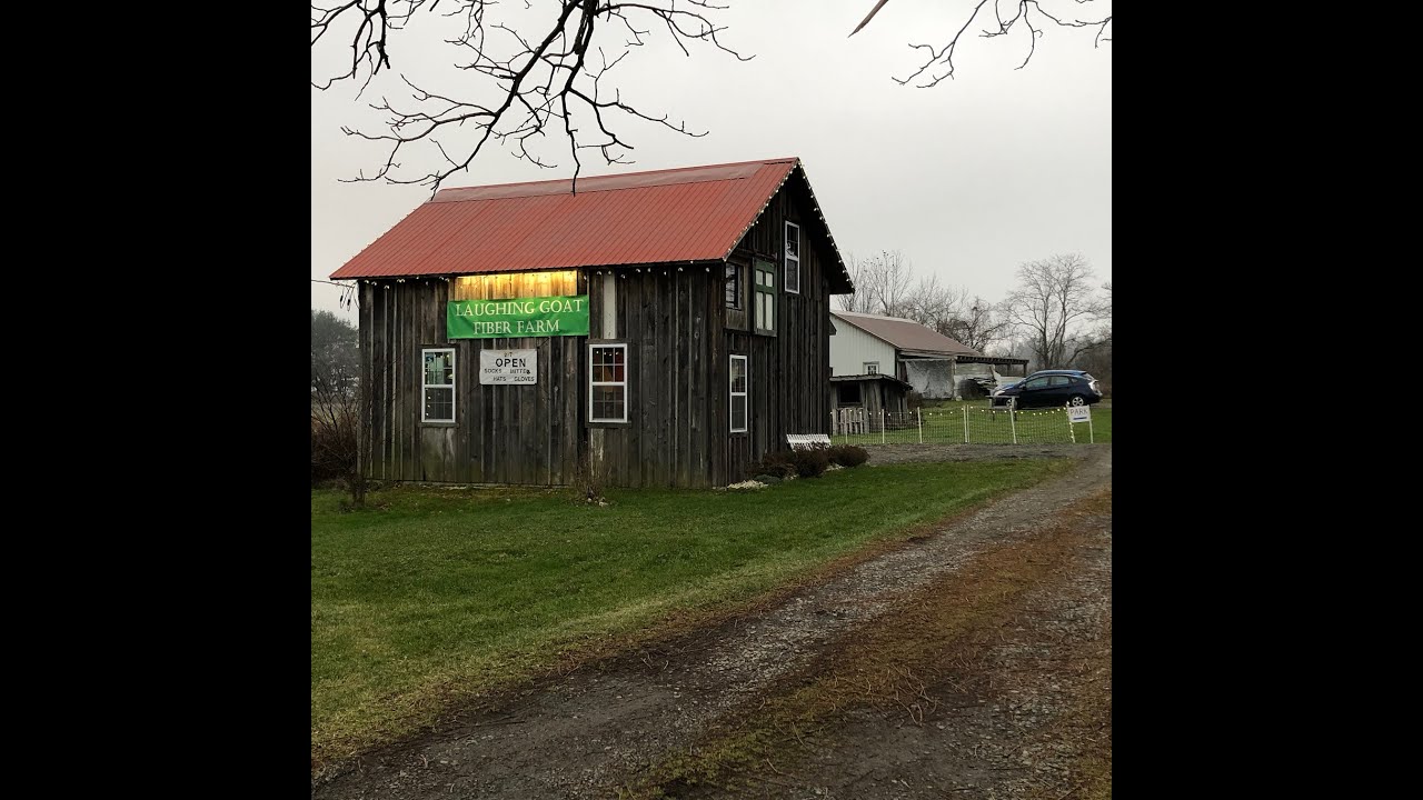 Virtual Farm Tour of Laughing Goat Fiber 2020