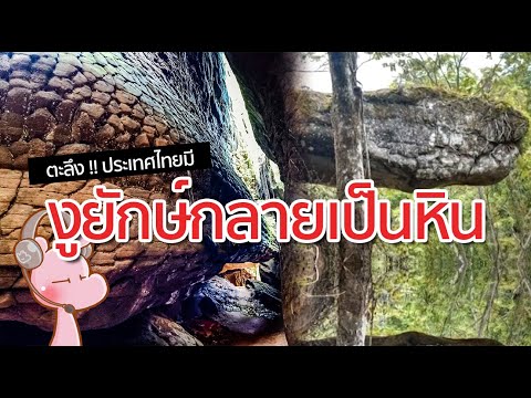 วีดีโอ: งูหิน