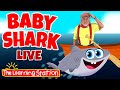 Baby Shark Live ♫ Brain Break ♫ Action Song ♫ Family Adventure ♫ Kids Songs by The Learning Station