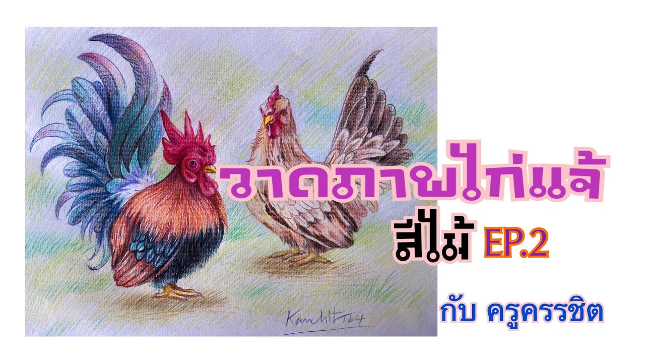 วาดภาพไก่แจ้  วาดสีไม้ง่ายๆ EP.2  Draw a hen , coloredpencils