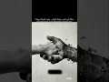 حالات واتس اب عن عبارة حب هناك اكسبلور لايك اشتراك يا حلوين