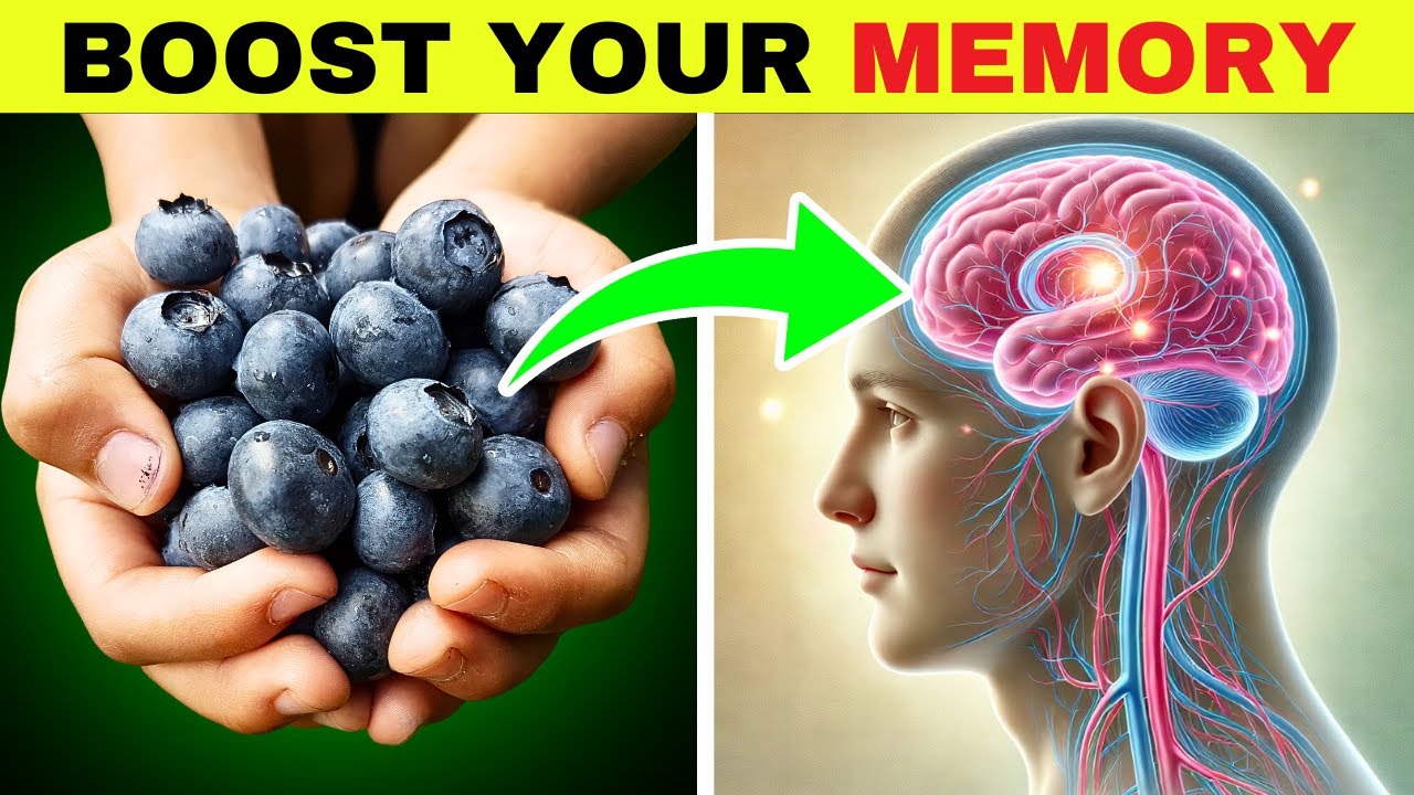 10 Foods That Boost Memory Function YouTube 10-foods-that-boost-memory-function-youtube