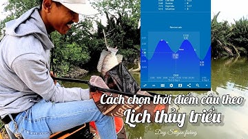 Cách chọn thời điểm câu cá theo Thủy Triều | Đảm bảo có cá