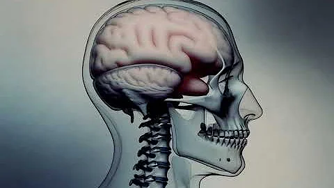 grok video c9cf7bba 4e9a 40c6 8b14 dfde056e56a8 2