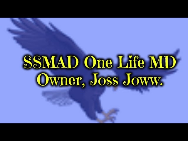 MD OWNER FT JOSS JOWW TALENT SSMAD ONE LIFE MUSIC class=