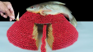 EXPERIMENT Safety Matches VOLCANO vs CATFISH