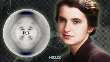 🌟 Every Famous Scientist in the World Explained in 6 Minutes! 🌟