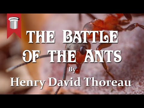 The Battle of the Ants - Henry David Thoreau