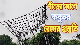 ভাদ্র মাসে কবুতর গুলো কে রোদে ছেড়ে রাখতে হবে