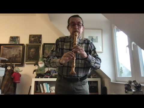 J S Bach Toccata Und Fuge In D Moll BWV 565 Set For Alto Recorder