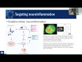 ME/CFS Research Roadmap Webinar - Immune System