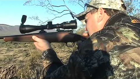 Sonora Mexico Monster Mule Deer Part 2 Seg 3