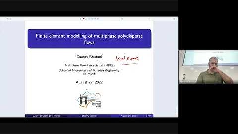 Modelling and simulation of polydisperse multiphase flows using population balance equation