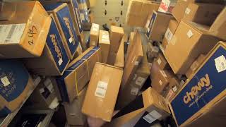 MUST WATCH Best Fedex Delivery Cab POV . 2 hours Sped Up to 30 minutes Quickly Disappearing packages