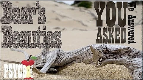 Indirect Assessment Q&A