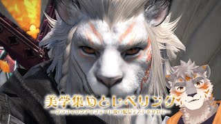 【FF14】美学集めとレベリング！【Vtuber/凍凪コウガ】