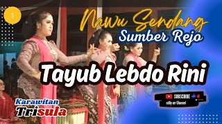 Tayub Lebdo Rini Semin Gunungkidul