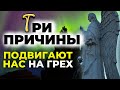 ТРИ ПРИЧИНЫ подвигают нас на грех  - Афонские старцы