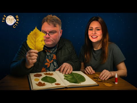 YouTube видео