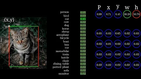 Let's Visualize How YOLO Works