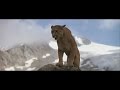 The Bear cub and Cougar / Медвежёнок и пума 1080p FHD