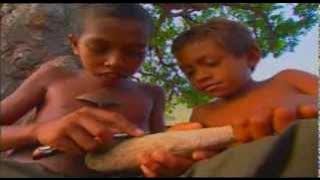 Ikan Pariku Yang Pertama