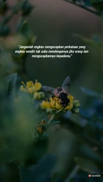 kata bijak singkat status wa - Ali bin Abi Thalib #shorts #status #alibinabithalib #katakatabijak