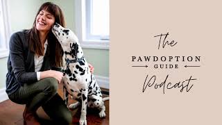 Full Pawdoption Guide Podcast -  The biggest mistakes people make when adopting a dog | Ep. 4 News